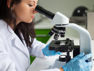 labwork (1)